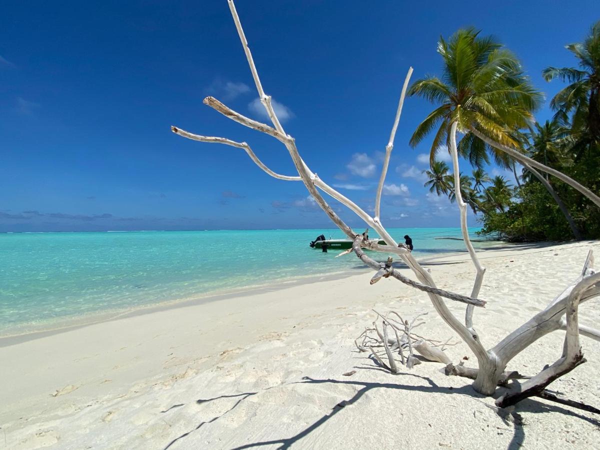 Alimas Holiday Retreat Maldives Felidhu Eksteriør bilde